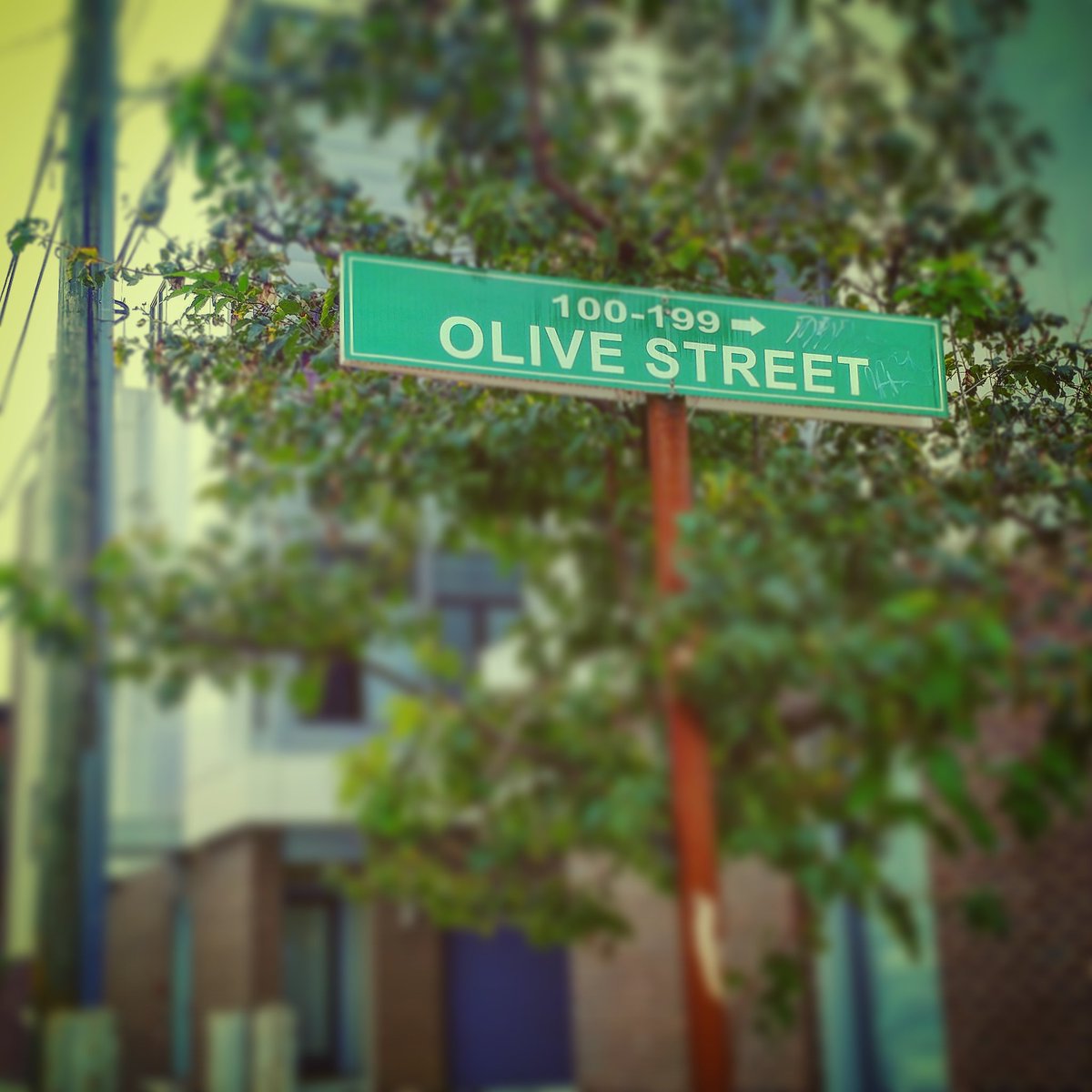 PhillyStreetSig's tweet photo. That's one #StrangeStreetSign! 😮

This small block in #NorthernLiberties has just a thick paper sign on a metal pole! 🤔

#PhillyStreetSigns #PhillyStreets  #Philadelphia  #Pennsylvania #Streets #Signs #Philly #Phl #Phila  #RepPhilly #ReppinPhilly  #PhillySupportPhilly https://t.co/0zuMjy69xr