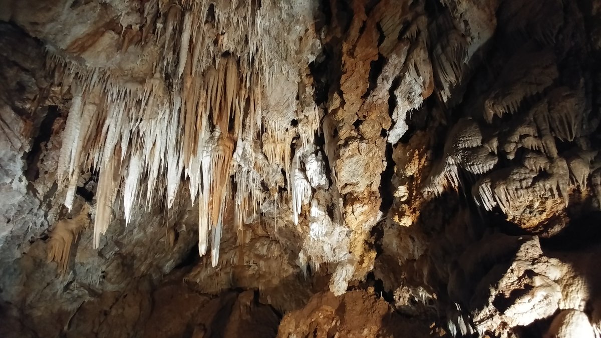 Viaggi di Fraintesa tweet media