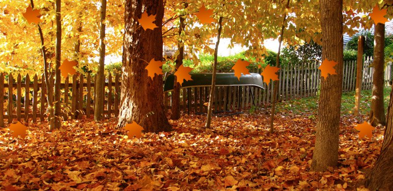 TptJournal's tweet photo. How many leaves will fall in the United States this fall? Find the answer to this #FermiQuestion at TPT Online: https://t.co/BO0SDKpb3Z #physicsteacher #physicseducation https://t.co/2gYQKzB5Rl
