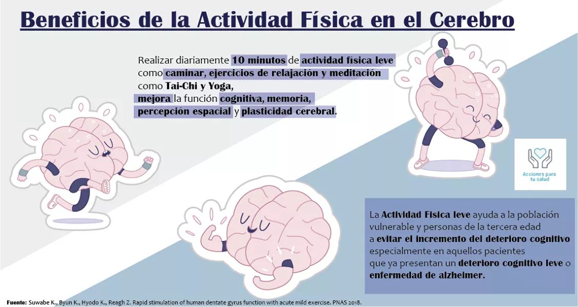 acparatusalud's tweet photo. 🏃‍♂️🏃‍♀️10 minutos de #actividadfísicaleve mejora la función #cognitiva #memoria #percepciónespacial entre otras, esto puede disminuir el #deteriorocognitivoleve y ayuda mucho a pacientes con #EnfermedaddeAlzheimer. https://t.co/cmpdwMDUfx