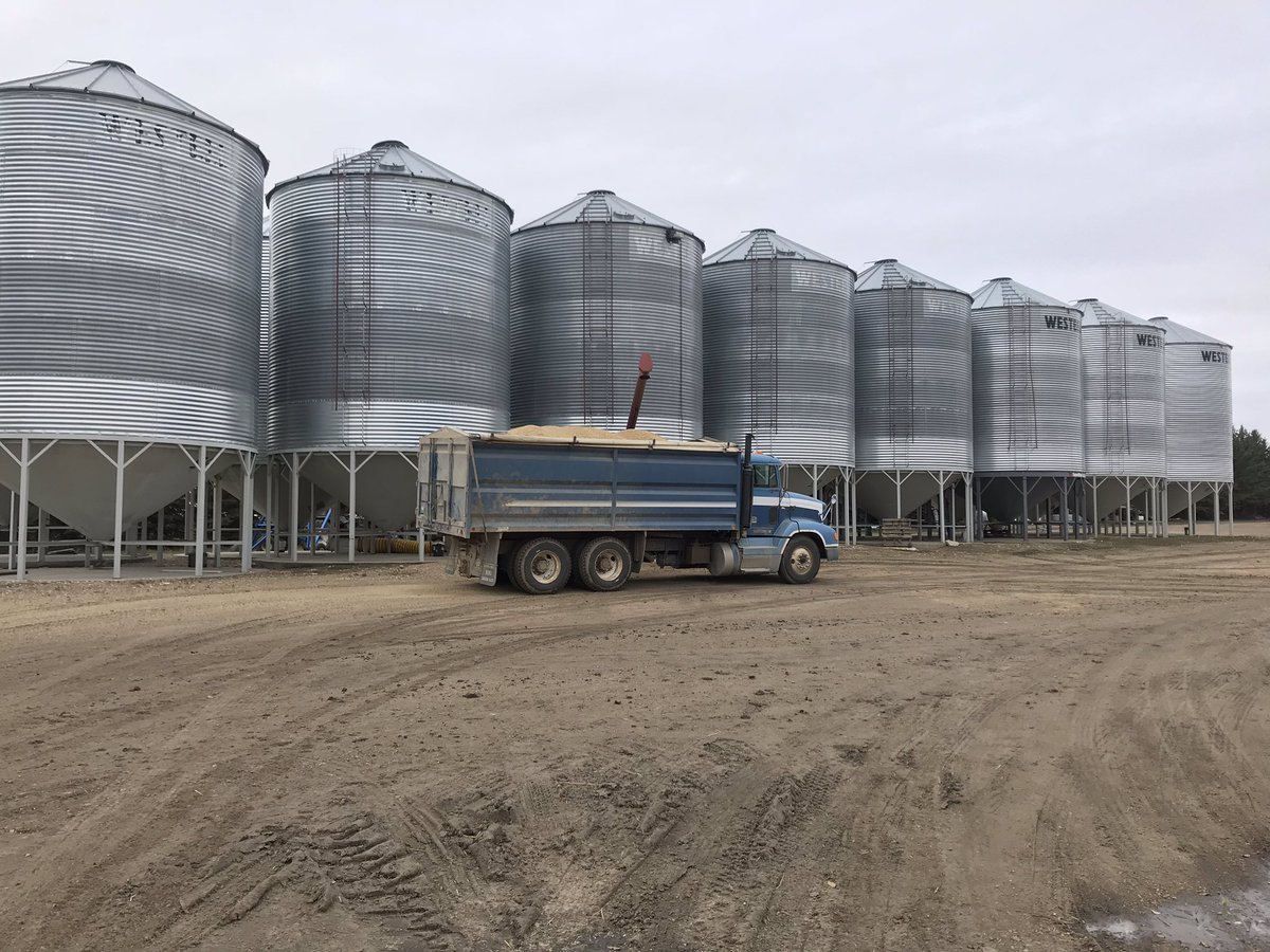 Moving and drying oats, oats and more oats!