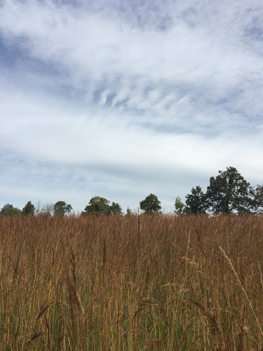 AMacD_UGuelph's tweet photo. Farm tour and workshop on ALUS Canada farms - Elgin County Ontario. Growing ecosystem services on marginal lands. Totally inspiring @ALUSCanada @ALUSNorfolk @aluselgin @MacD_EcologyLab @BiRNUofG https://t.co/FyFBB7X22G