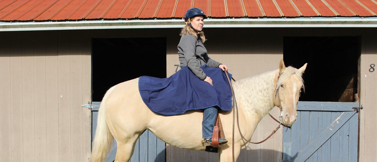 A quick update from our equestrian division! bit.ly/2R5SPGa.  Did you know we had an equestrian division?  We do!  facebook/DTO.Equine
#equine #riding #horseware #equestrian