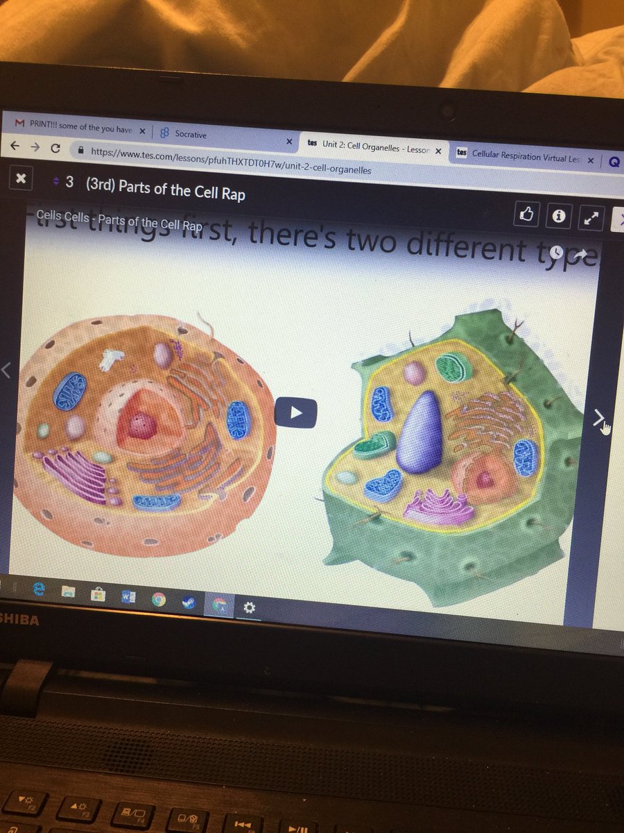 annaamerritt's tweet photo. #cometsALLin #CHSFLEXDAY @kbanksclifton https://t.co/JnJFC9qaiW