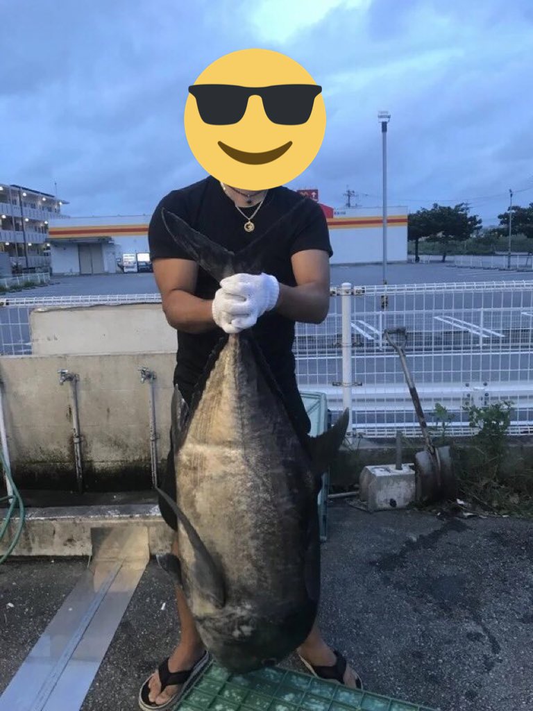 Hatena0327's tweet photo. 兄貴半端ないって、ガーラ20キロ級これで2匹目だぞ
これは、約24キロ https://t.co/ixr1GOaujG