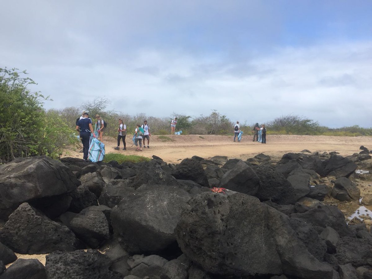 parquegalapagos's tweet photo. Un grupo de voluntarios se dirigió al sector del #TongoReef, en la isla #SanCristóbal. Recorren la costa para retirar la basura que las corrientes hayan arrastrado. Todos unidos en #AcciónPorElPlaneta en #Galápagos https://t.co/Hqp8e3BbMz