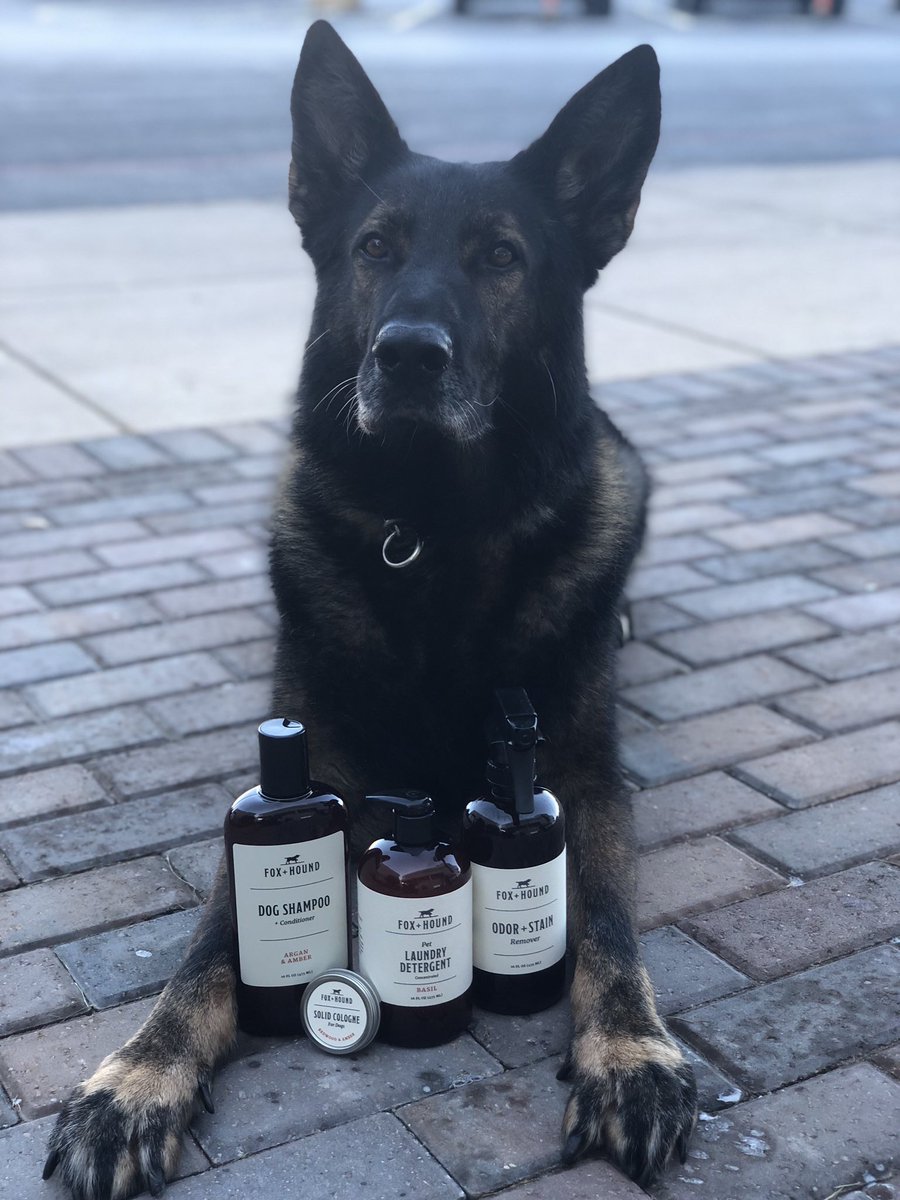So Fresh and so Clean. #K9Lor received some pretty awesome products. 

Happy #LivePdDay everyone

#DailyDoseOfCuteness 

RT and share with your friends. I mean who doesn’t like a #K9Officer
@Craigmyle_Lor @GreeneCountySO @SheriffArnott