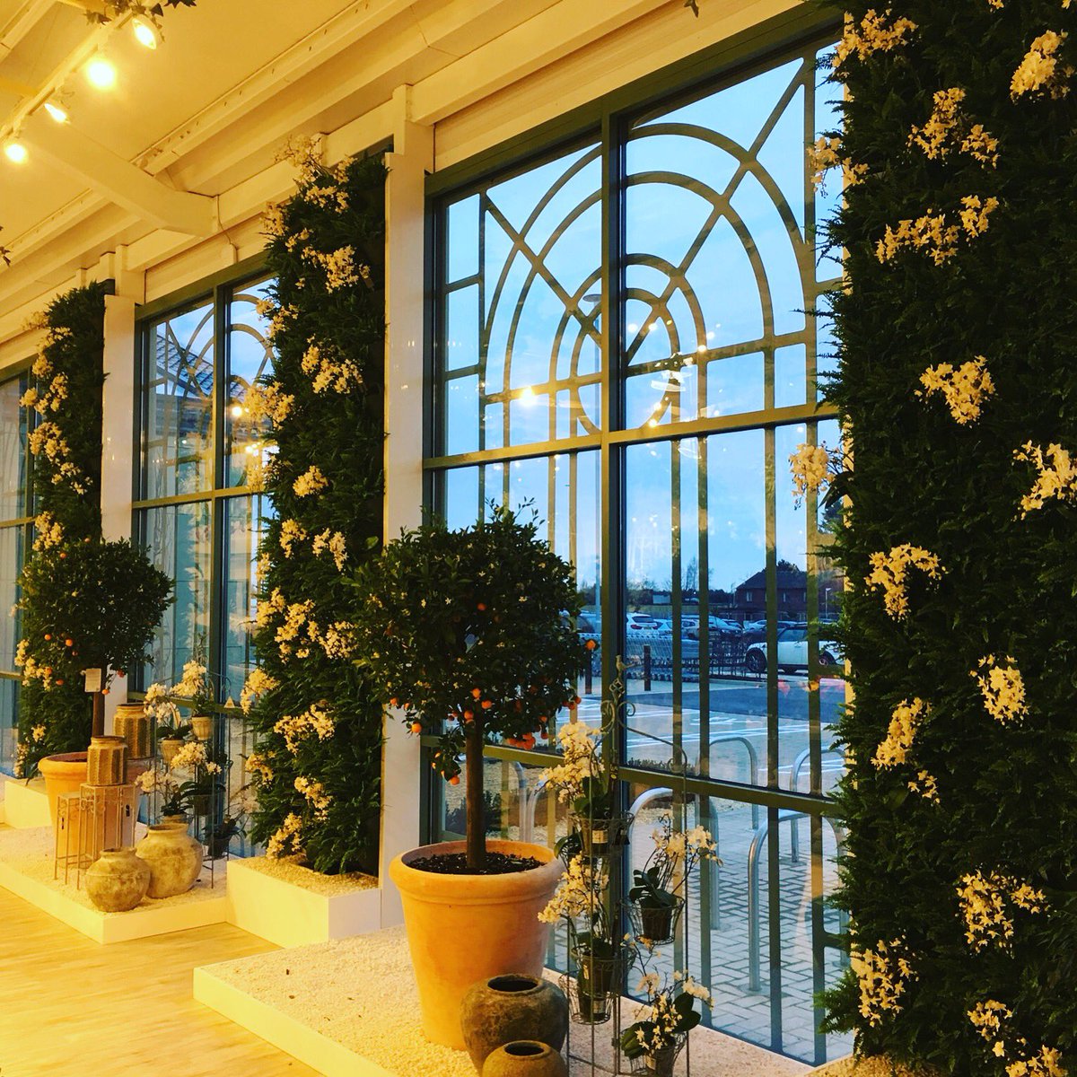 wwalldirect's tweet photo. How amazing is this internal #wonderwall? 😍😍 #verticalgarden #interiordesign #interiorgardens #verticalgarden #livingwall #lovinggreenwall #reducingcarbonfootprint  #wedding  #weddingideas https://t.co/qCxPUKNCoG