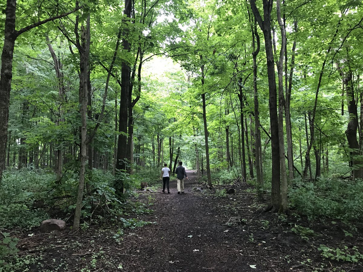 SundyHuangCA's tweet photo. FOREST BATHING
Urban Forest Walking in Markham's Springdale Valley Trail is wooed by many residents. #NationalForestWeek #ExploreON
#ChooseMarkham #LoveMarkham #SafeMarkham #CedarGrove #BoxGrove #Legacy #RougeFairways #CedarWood #MiddleField #MarkhamVotes #VoteSundyHUANG #MkmPoli https://t.co/HnfFf9n9oY