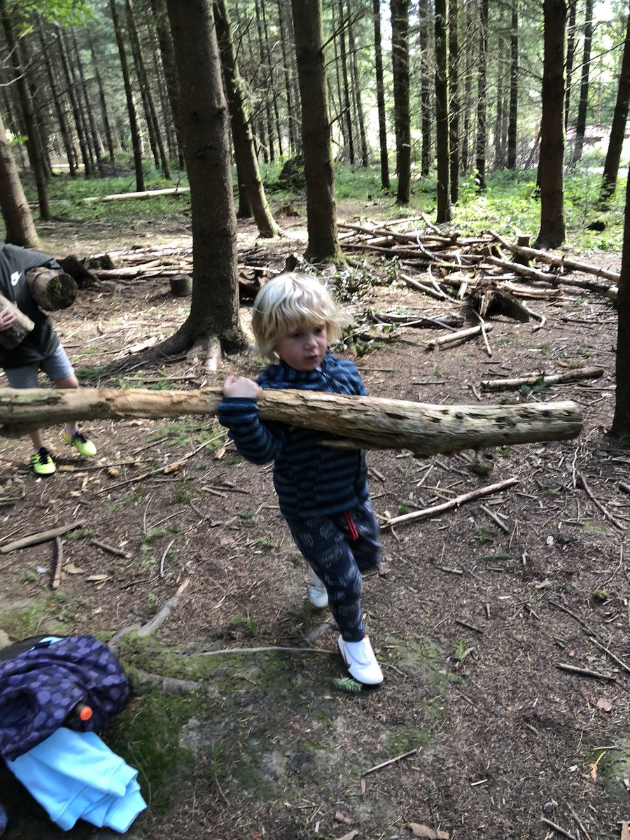isabeautday's tweet photo. Teacher training day = great outdoor fun, den building, nature trails and generally having a great time @RogietPrimary @beechenhurst https://t.co/NnajhJR3eE