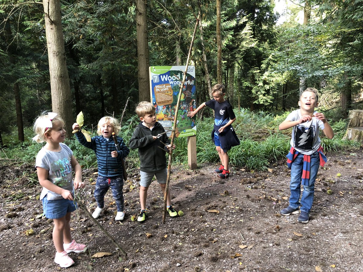 isabeautday's tweet photo. Teacher training day = great outdoor fun, den building, nature trails and generally having a great time @RogietPrimary @beechenhurst https://t.co/NnajhJR3eE