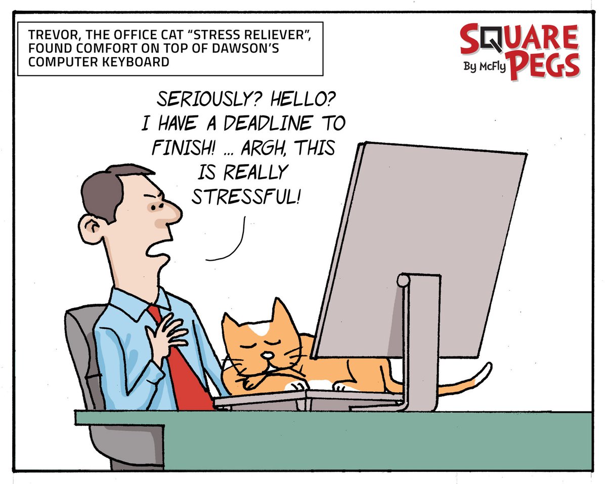 PegsSquare's tweet photo. #cats #stressrelief https://t.co/tTOkeOPxHv