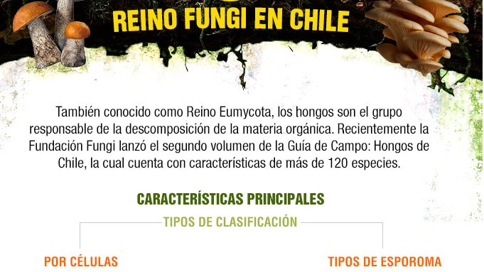 AMICH_Chile's tweet photo. De hongos y champiñones: Un viaje al interior del Reino Fungi nacional.
Felicitaciones FUNDACION @FUNDACIONFUNGI 
Fuente: https://t.co/JL6g2EkoAt - https://t.co/hD98bnEWwL https://t.co/BtzG9PzpqZ