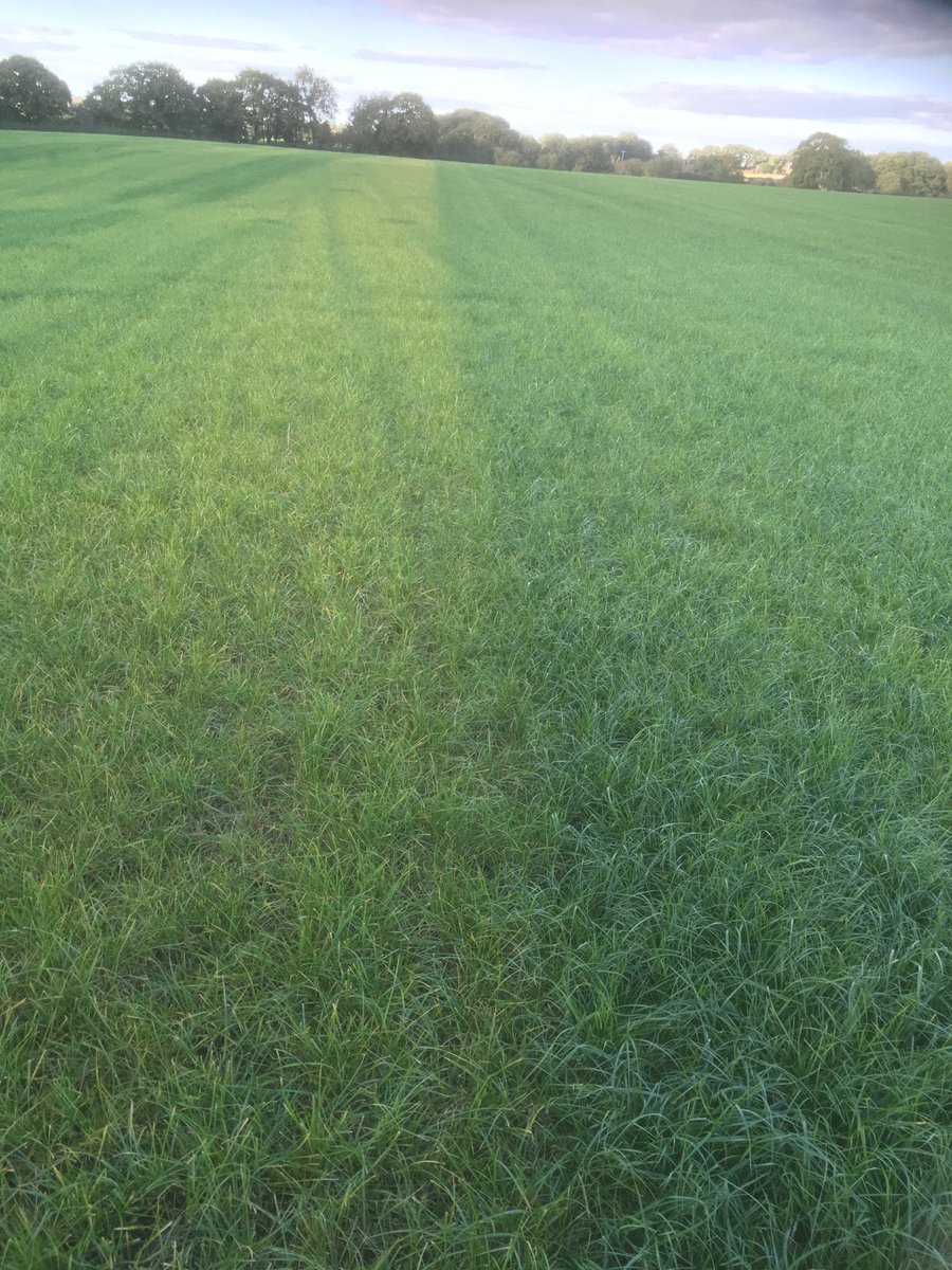 On the right slurry via trailing shoe, on the left tanker and splash plate.