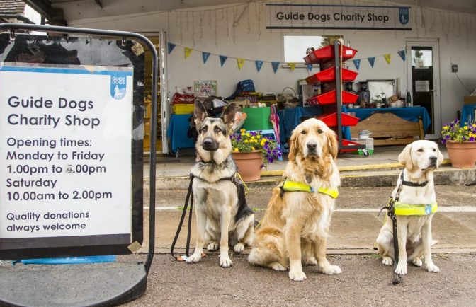 guide dogs charity shop