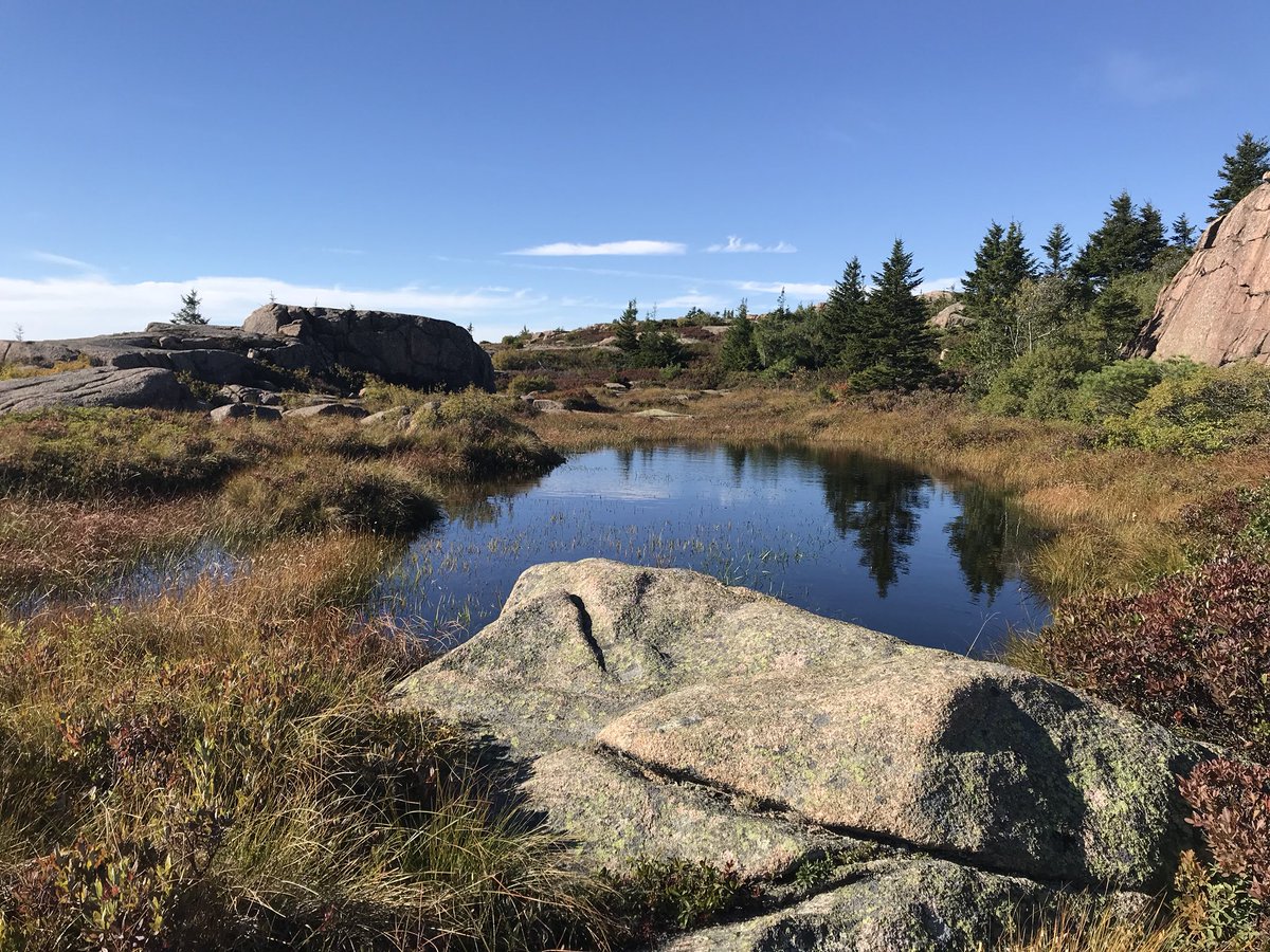 DanielRicottaMD's tweet photo. Week is not complete without one last beautiful photo of @AcadiaNPS during our final hike #MDIPOF18 until next year @MDIBL - look out for 2019 signups!!! https://t.co/wiN2Eo1T9R