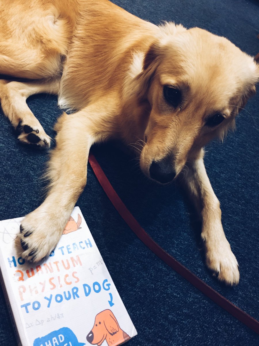 Think that's good? Wait 'till you see *my* Waynflete project, I've already started the reading! x.com/MCSOxford/stat…