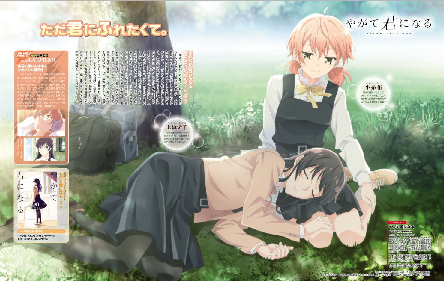 Kiyoe ピーター Yagate Kimi Ni Naru Visual Scan Dengeki G S November