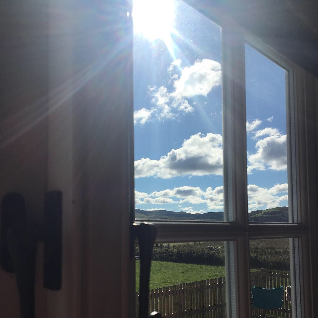 CwtCaron's tweet photo. Pwy fydd cyfeillion y Cwt heddiw tybed? Pwy bynnag ydyn nhw, mae nhw am gael gwledd i’r llygad yn y tywydd yma!! 👌🏻☀️🍁 

Who are the Cwt’s visitors today I wonder? Whom ever they may be, they have a feast for the eyes in this weather!! 👌🏻☀️🍁 https://t.co/pKSi7hcoYD