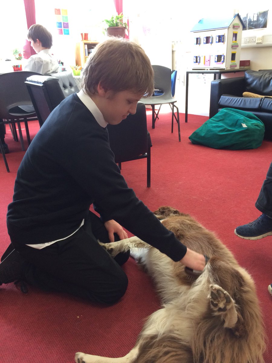 BlairgowrieHS's tweet photo. Bodie loving being groomed today. Great job Lewis https://t.co/0poOzRFWc6