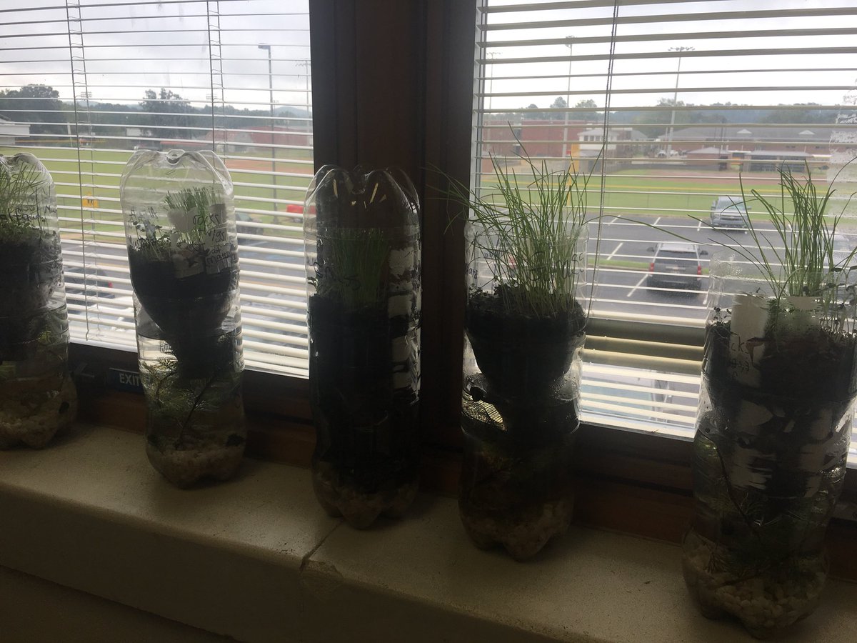 OES 5th graders love building their Eco-columns in Mrs. Haynes’ Science class!