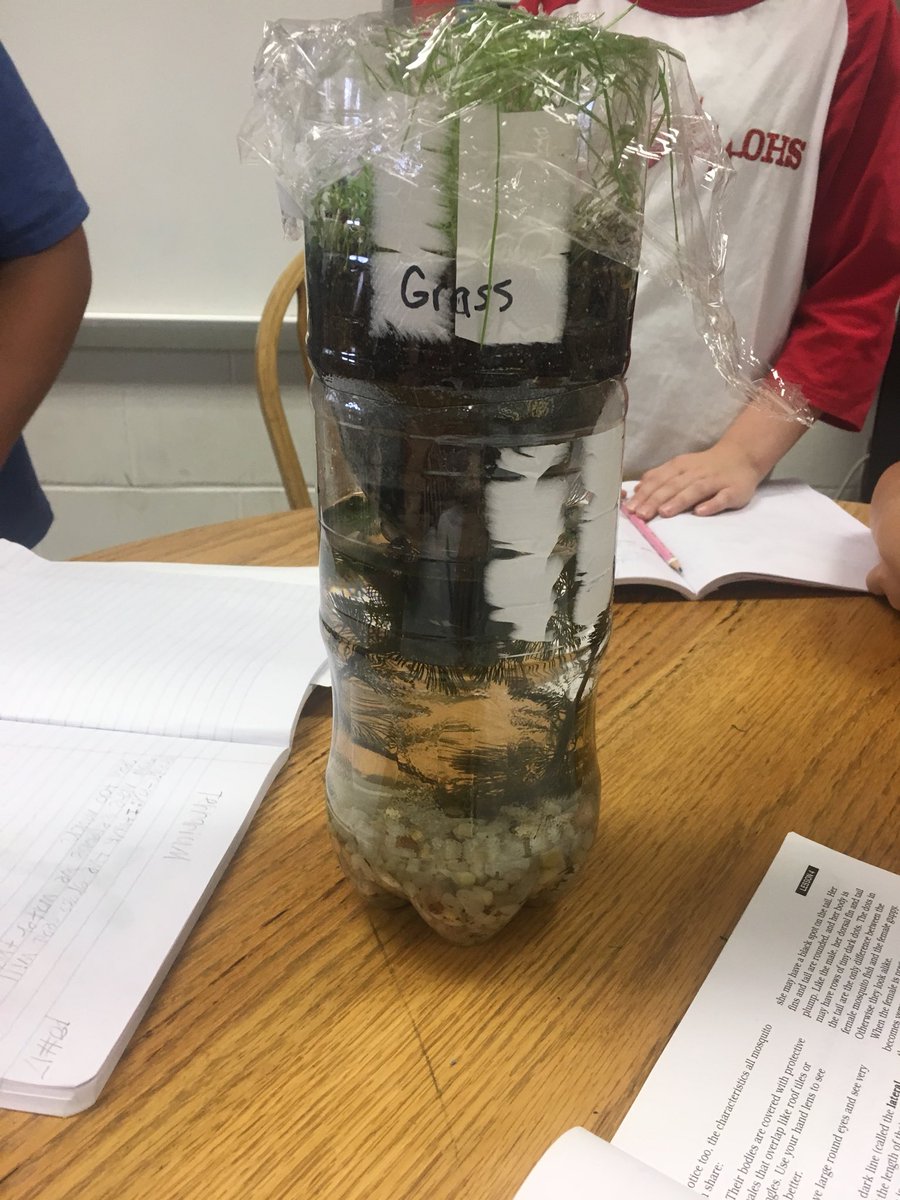 OESTribe's tweet photo. OES 5th graders love building their Eco-columns in Mrs. Haynes’ Science class! https://t.co/1JQaNeEWhD