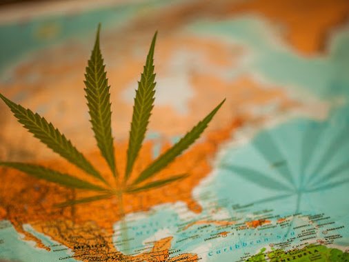 TheLoudBank's tweet photo. #HappyFriday to all the cannabis advocates #medicaters #bluntsmokers #dabbers #vapers #jointsmokers #microdosers #edibleeaters & #marijuanamodels 🌿🌿🌿
#FridayFeeIing #legalizecannabis #worldwide💯 https://t.co/wjBemGI4JQ