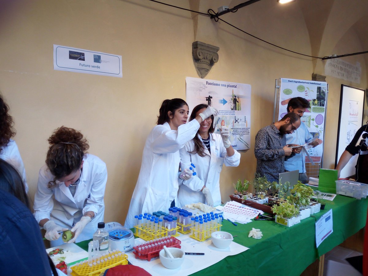 ScuolaSantAnna's tweet photo. #BRIGHT2018 #Futuro #verde. Come si estrae il DNA? I ricercatori del @PisaPlants dell’Istituto di Scienze della Vita della Scuola Superiore Sant’Anna guidano i più piccoli alla #scoperta del #mondo #vegetale. https://t.co/Og0aBp0vg8