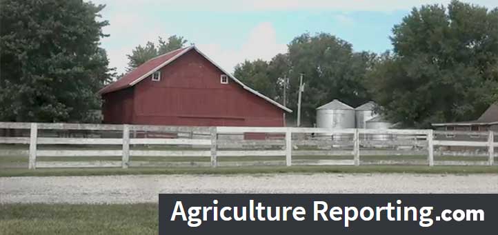TPSL_Since1938's tweet photo. Meet the Henningsen family who #farm in northwestern Douglas County Illinois in this Harvest Heritage report by WCIA 3's Stu Ellis!
https://t.co/9C0L8rXTo2
https://t.co/8eFikQ5yfL
#tpsl #ag #cornbelt #aglab #agriculture #Agronomics #Farmers #Farming https://t.co/wHRsxKcIHc