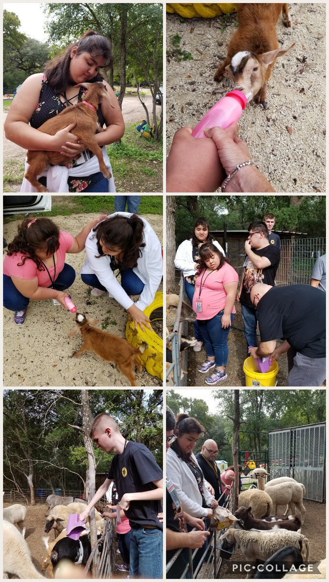 LauraTeachSpEd's tweet photo. This morning our young adults from #ThisIsPhase2 #ThisIsNorthside #ThisisReddix spent the morning at #OwlCreekFarm volunteering on animal care. So proud of their hard work! @NISDReddix @NISDSpecialEd @WeGoPublic https://t.co/II95mR2i61