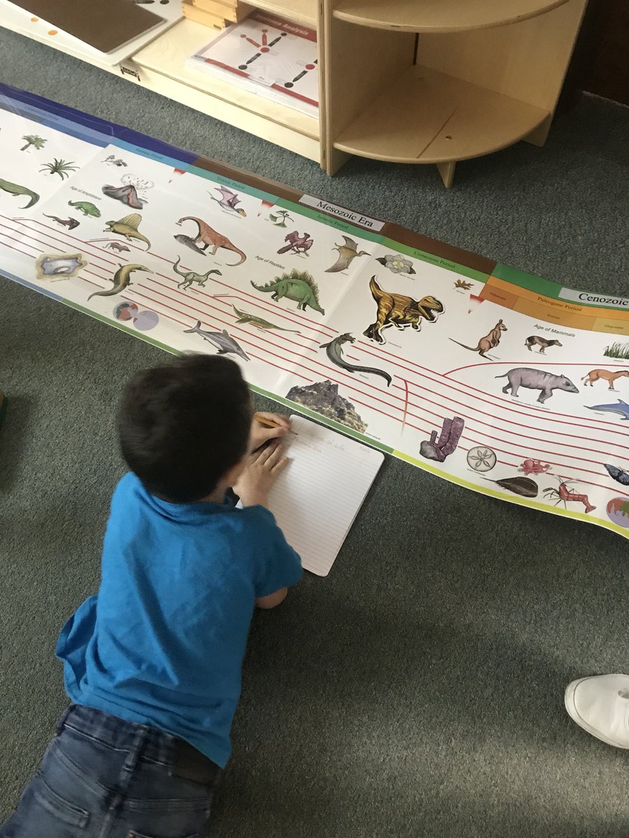 MsKateMSL's tweet image. Learning about how life evolved on the earth using the Timeline of Life. @SCSDMontessori @SyracuseSchools