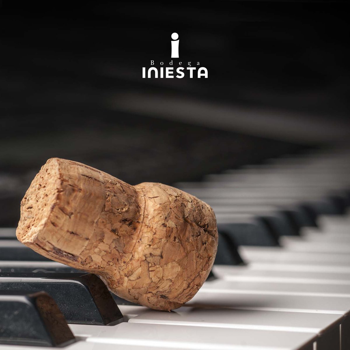 BodegaIniesta's tweet photo. ¿Adivináis el plan que os proponemos para este fin de semana? 🍷🎶😁 #Winelovers https://t.co/sEr0iMcCoj