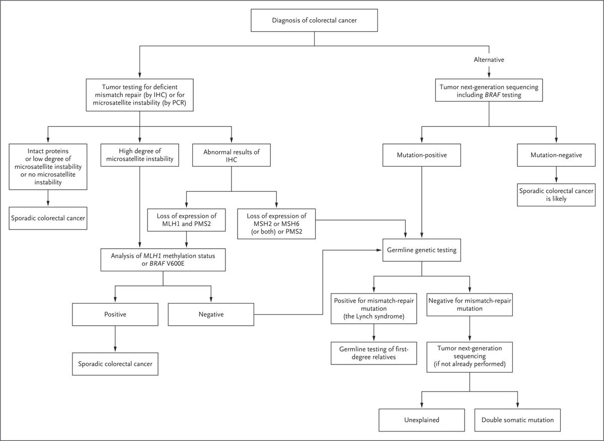 Algorithm for LynchSyndrome Testing in Patients with a New Diagnosis
