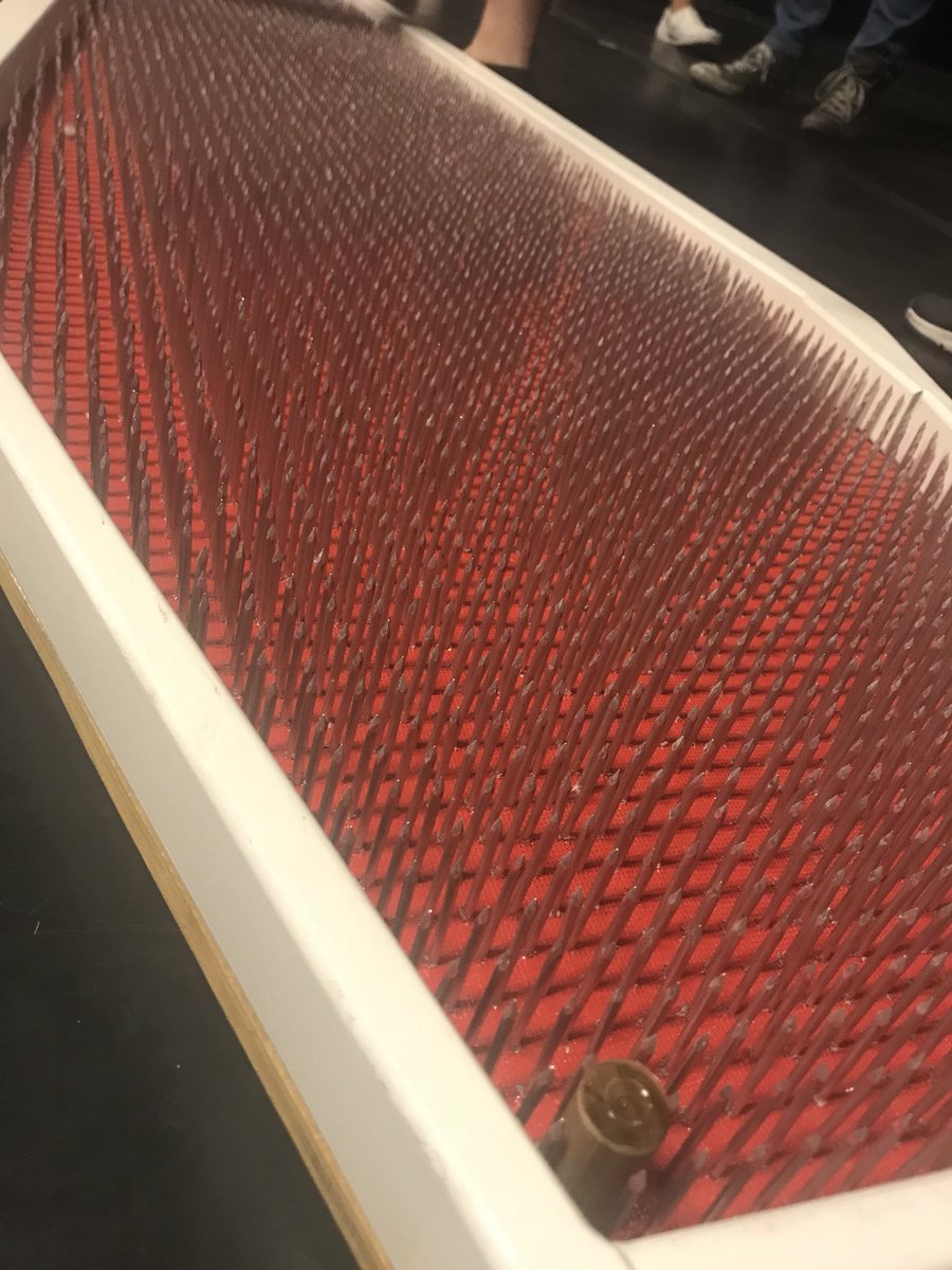Teacher_Pathway's tweet photo. 5,000 nails!! Would you do it?? https://t.co/48F5JVX6cm