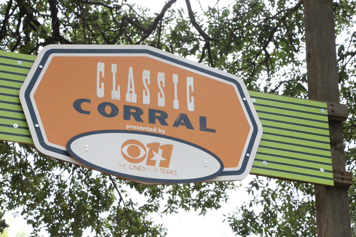 StateFairOfTX's tweet photo. Today in the Classic Car Corral is the Lone Star Cougar Club! Don't forget the Corral as been relocated to the corner at the Children's Aquarium and the Texas Star! #CarCorral #TXAS #TXautoshow #BigTex https://t.co/1qIPL9mScP