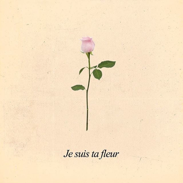 I am your flower #cinqasept ift.tt/2OhNrkL