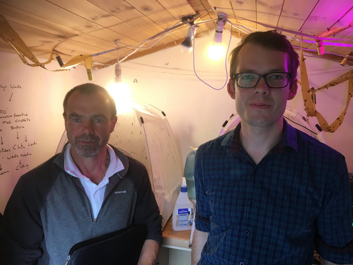 Inspro_UK's tweet photo. Our engineer, Phil and our entomologist, Ben in our breeding unit. https://t.co/FZI2d0xebe