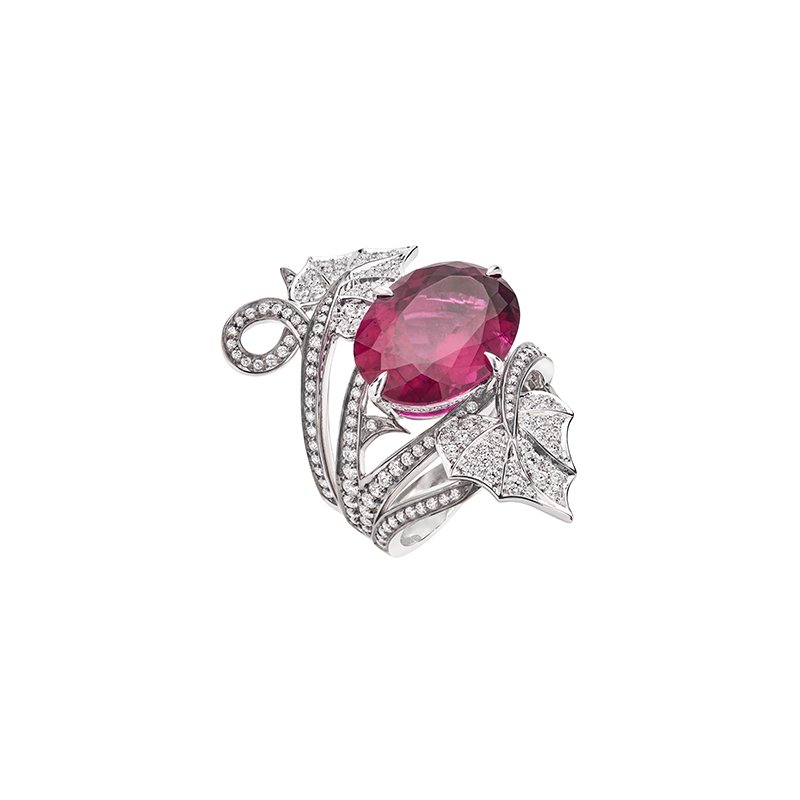 Webster_Rocks's tweet photo. Twisted in diamonds. 

#StephenWebster https://t.co/ScjklKS7gt