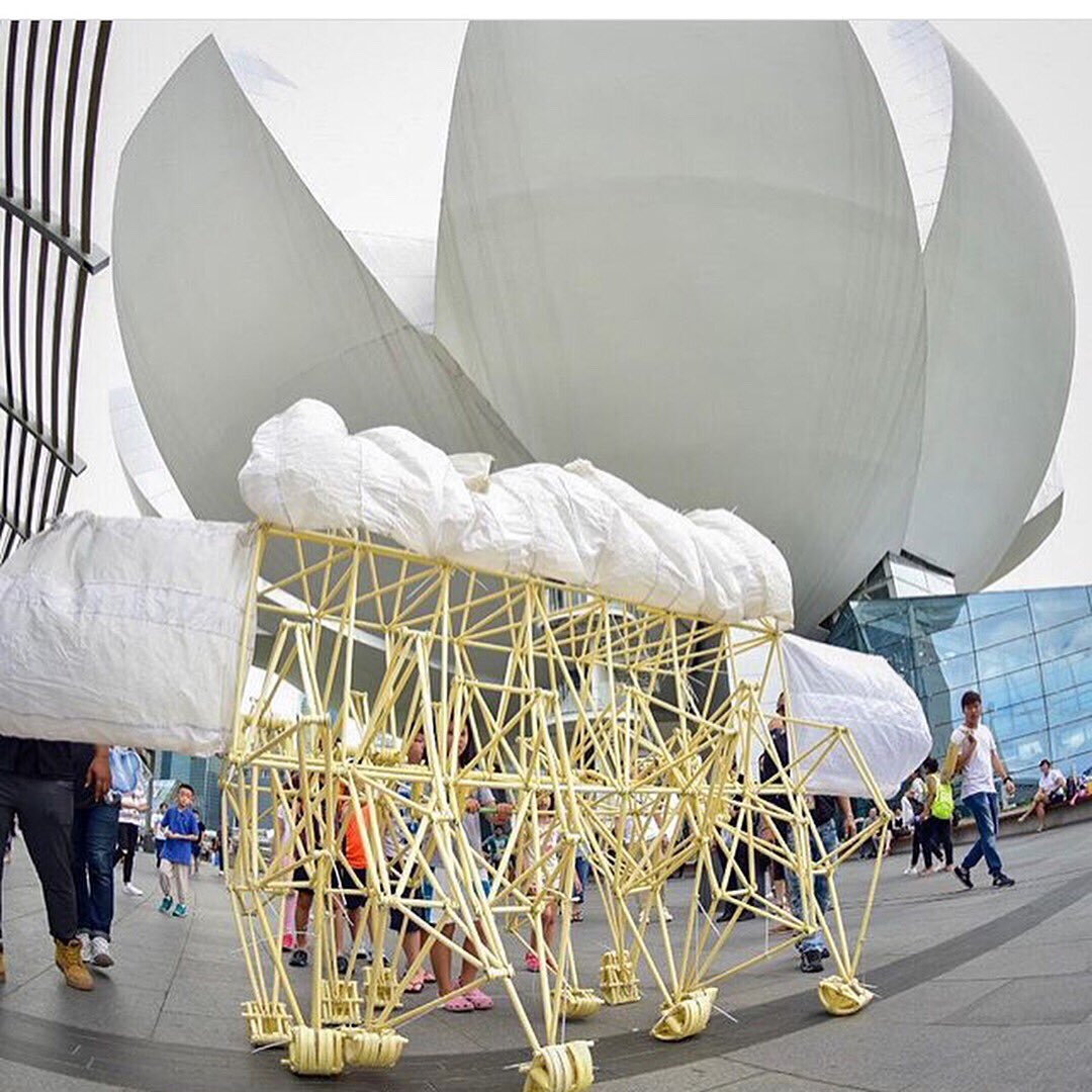 honorharger's tweet image. Wind Walkers: Theo Jansen’s Strandbeests - an exhibition that is very dear to our hearts at @ArtSciMuseum - is in its last two days. 
This weekend is your last chance to catch the #Strandbeests walking in the galleries of the museum. Don’t miss it.
marinabaysands.com/museum/theo-ja…