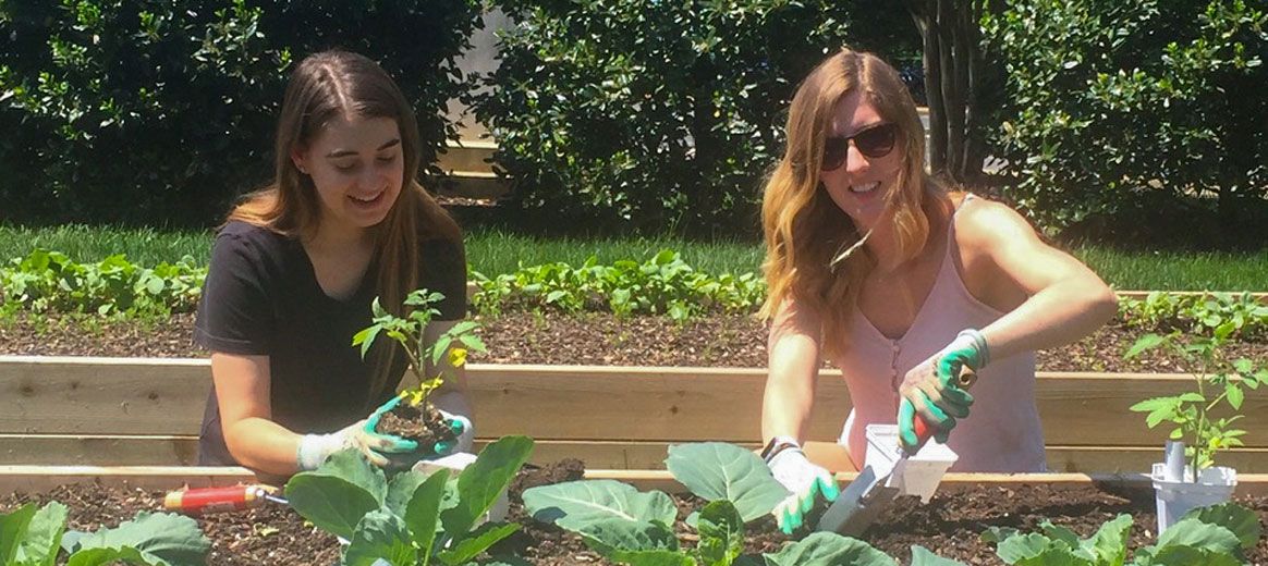 HLuceFdn's tweet photo. Food for Thought, a student-run club co-founded by Assistant Prof Susan Agolini at @marymountu, generates excitement for gardening and fosters engagement with the local community in students, faculty & alumni from a wide-range of disciplines. #CBLprogram https://t.co/WCE7UWfXnx https://t.co/epL9ZiLpWw
