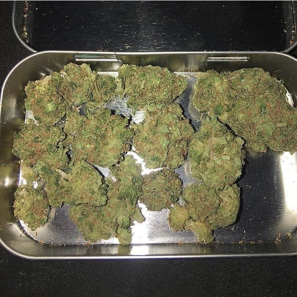 🌿All green🌱loud and strong💯
📮Discreet📦shipping🚛NO🕖WASTERS🔞Dm for info...text/call 804-932-0075