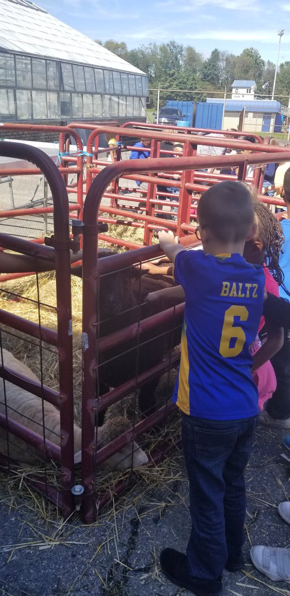 WHSAPZim's tweet photo. Elementary students enjoying the Walkersville Community Show.  Dylan demonstrates the tractor. https://t.co/AvypyqJSJY