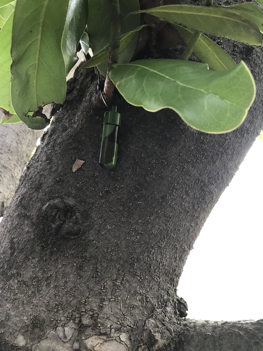 garyslinkard's tweet photo. Multicache final #cacheforlunch #Geocaching https://t.co/MOx98hYr4f