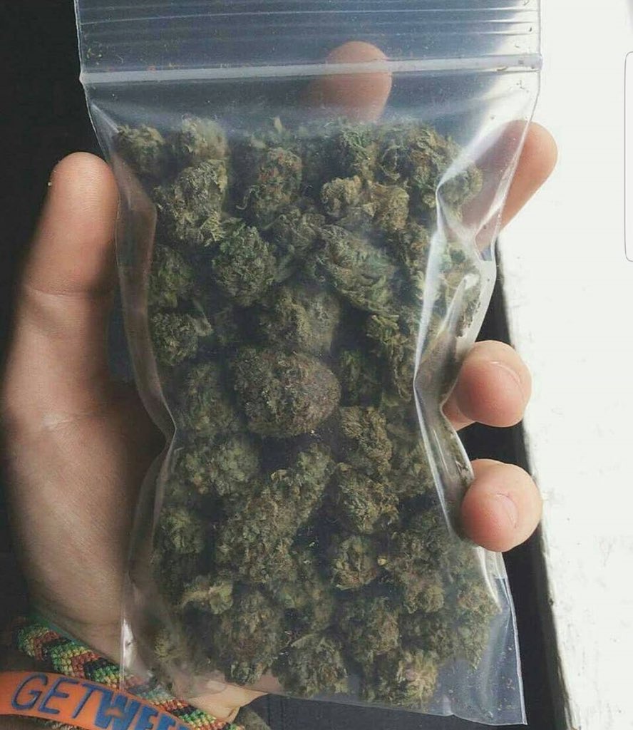 🌿All green🌱loud and strong💯
📮Discreet📦shipping🚛NO🕖WASTERS🔞Dm for info...text/call 804-932-0075