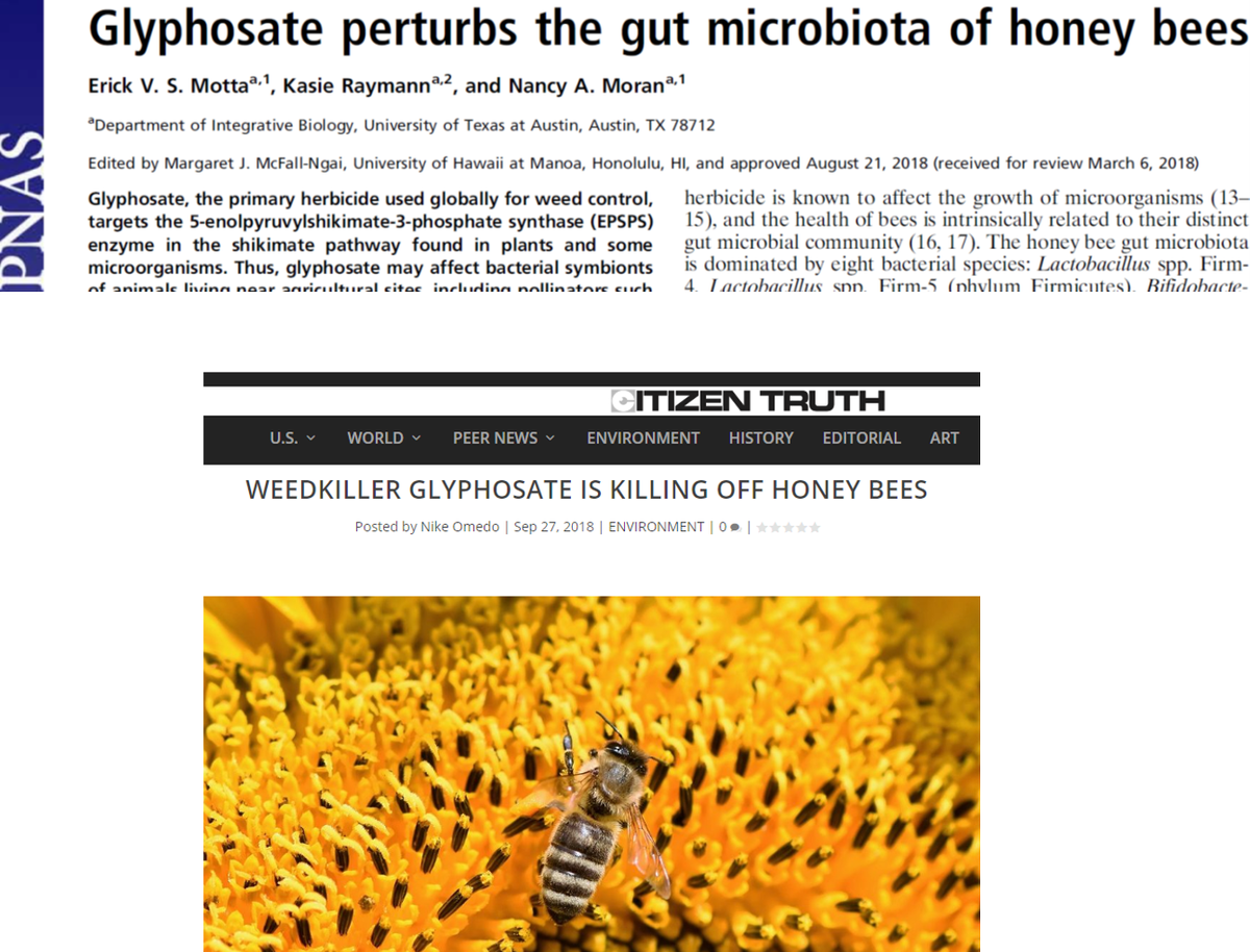 MicrobiomeWatch tweet picture