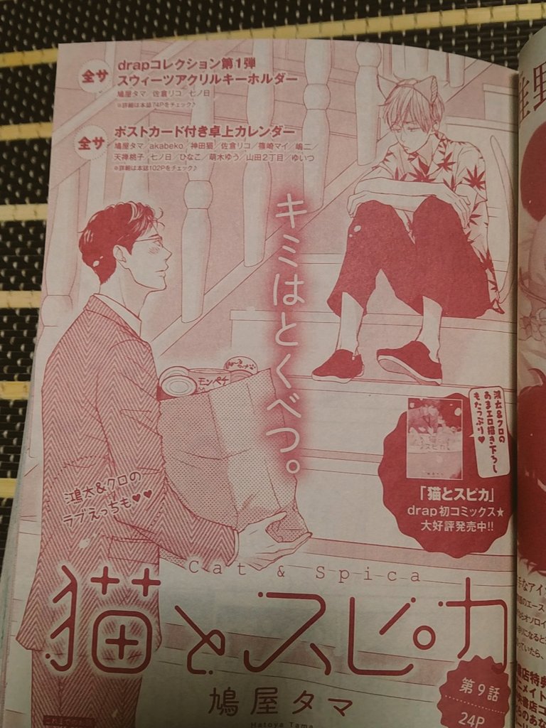 29日発売のdrap11月号さんに「猫とスピカ」掲載していただいてます。9話目です。今月もクロと鴻太はぬこぬこしてますこちらもよろしくお願いします! 