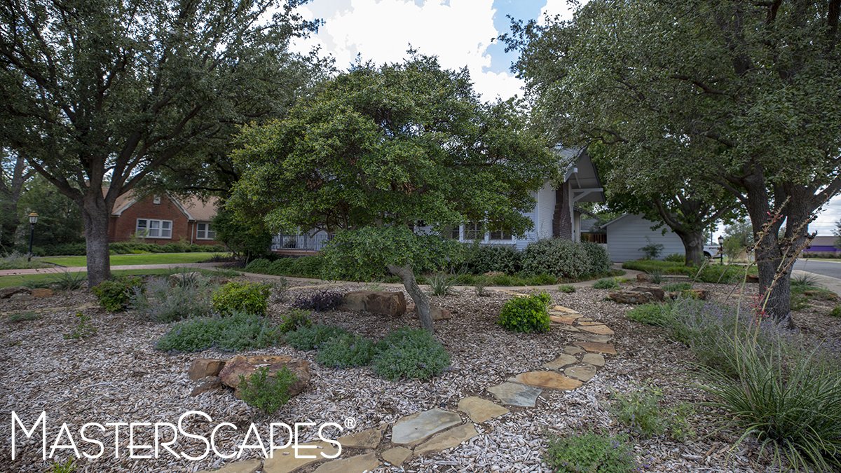 TheMasterScapes's tweet image. A xeriscape landscape can help save water, improve property value, and is low maintenance. Apart from those benefits, xeriscaping also provides wildlife habitat and is pollution free. 

Learn more about xeriscaping from Eartheasy: ow.ly/SPzQ30lXcV3