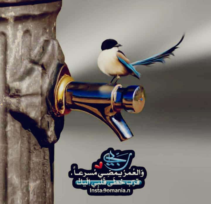 لعل الله في لحظةٍ ما ، يغير ڪُل الذي ظننتهُ لن يتغير ..