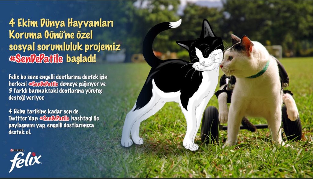 csmsa1's tweet image. 😍#SenDePatile