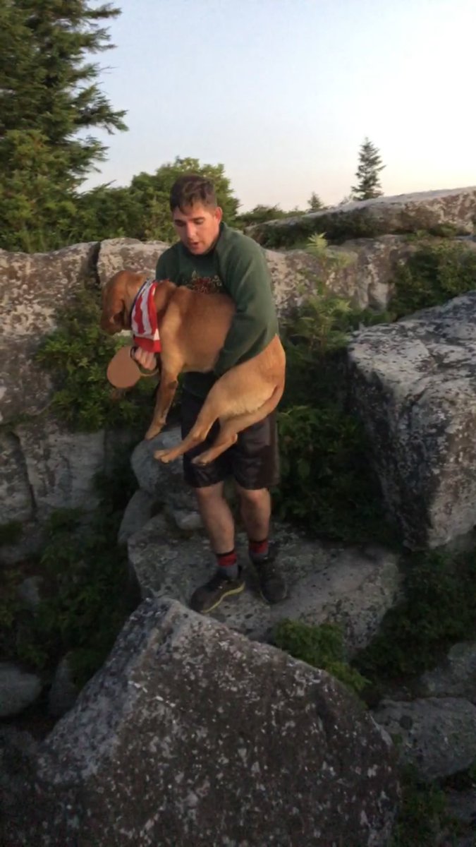 JDunc77's tweet photo. @dodo Trigger is a great mountain dog follow him on instagram @trigger_treks https://t.co/tTwMqRW5Z0
